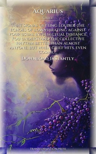 Aquarius Grief Compendium: Finesse Your Search preview 7