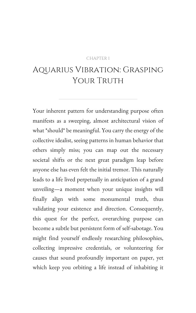 Aquarius: Purpose Optimization: Accelerate Your Capacity interior preview
