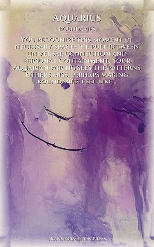 Boundaries Navigator: Aquarius: Your Space Activated preview 1