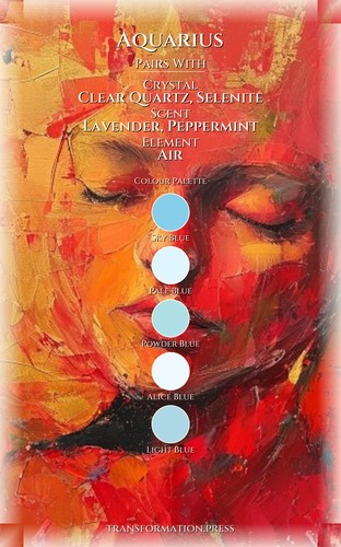 Boundaries Navigator: Aquarius: Your Space Activated preview 3