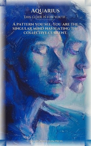 Boundaries Navigator: Aquarius: Your Space Activated preview 4