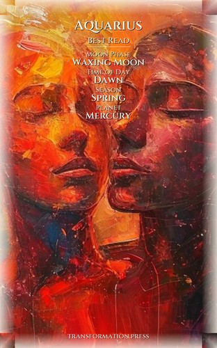 Boundaries Navigator: Aquarius: Your Space Activated preview 5