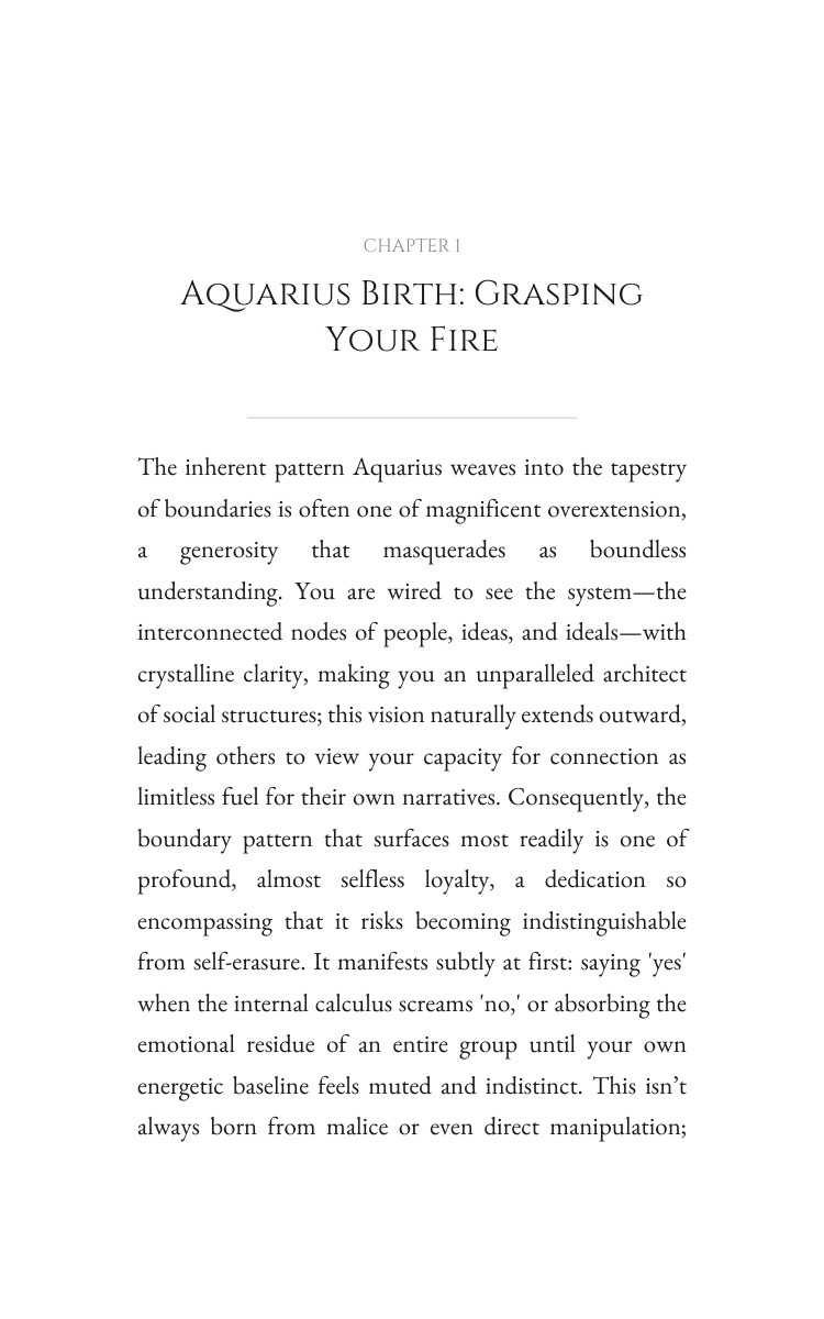 Boundaries Navigator: Aquarius: Your Space Activated interior preview