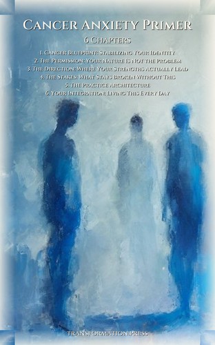 Cancer Anxiety Primer: Focus Your Pursuit preview 2
