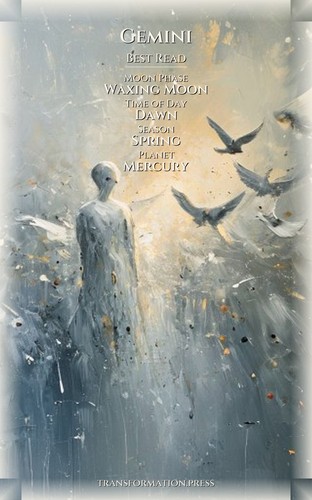 Gemini Daily Practice Sourcebook: Your Vitality Magnified preview 5