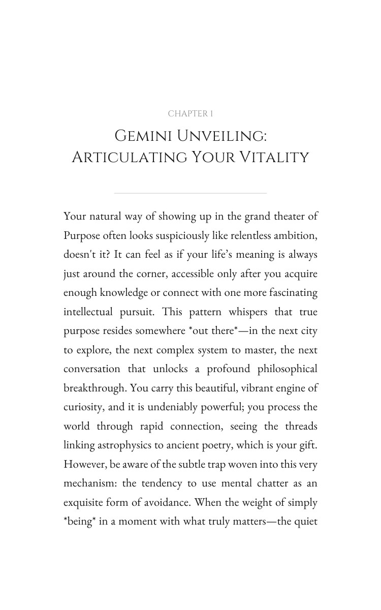 Purpose Experience: Gemini: Harness Your Passage interior preview