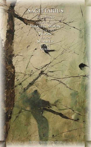 Sagittarius Way: Relationships: Your Journey Magnified preview 5