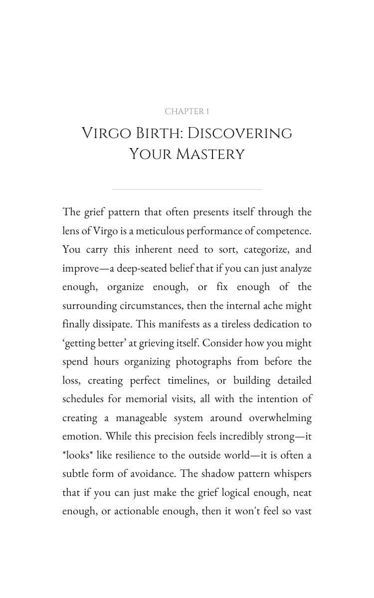 Virgo: Grief Realization: Leverage Your Identity interior preview