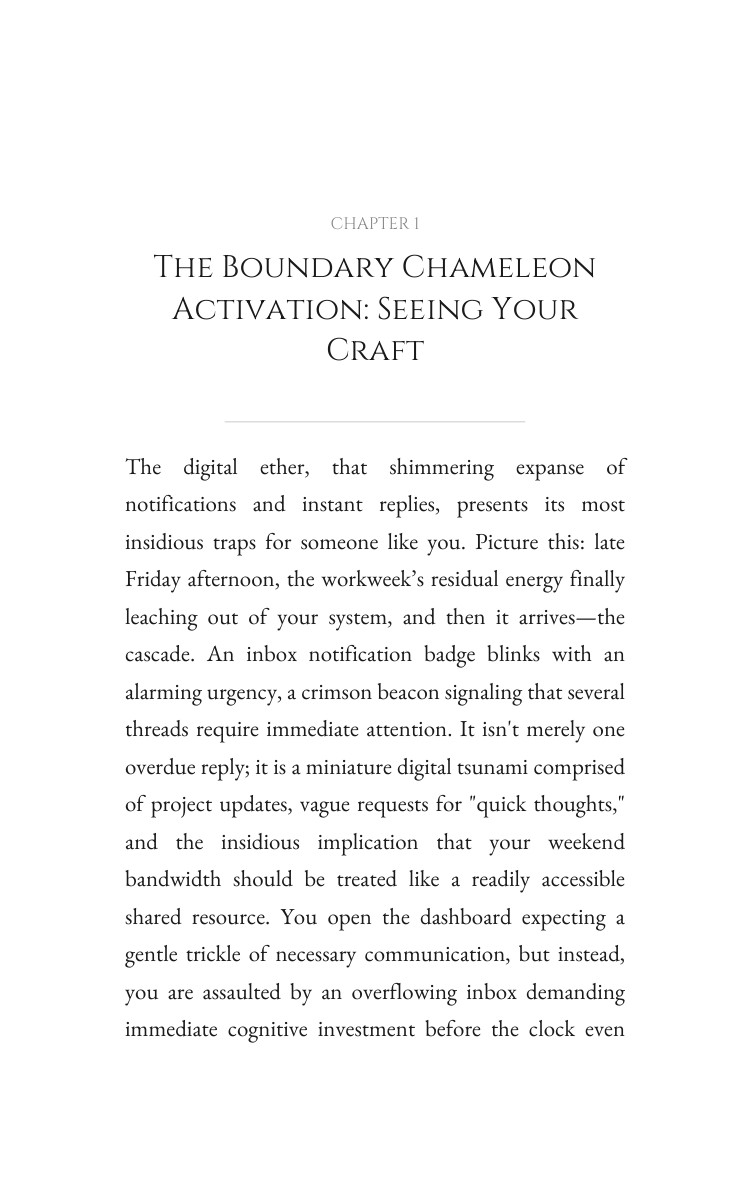Boundary Chameleon Digital Excellence Guide: Your Development Energized interior preview
