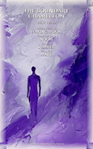 Boundary Chameleon Mastery: Chronic Illness: Your Mastery Energized preview 5