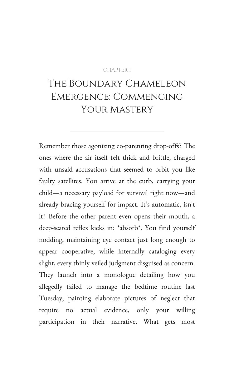 Divorce Breakup Recovery Way: Boundary Chameleon: Secure Your Excellence interior preview