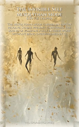 Invisible Self Health Self Care Integration: Calibrate Your Status preview 6
