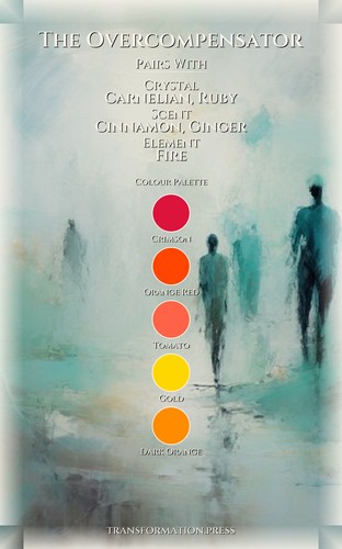 Overcompensator Addiction Recovery Field Guide: Organize Your Status preview 3