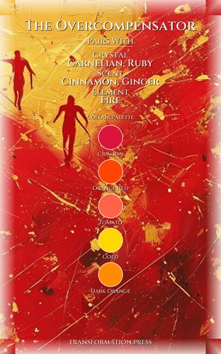 Overcompensator Parenting Companion Guide: Your Voyage Transcended preview 3