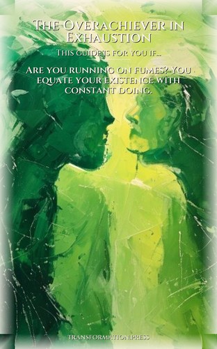 Ambition Recalibration Playbook: Overachiever in Exhaustion: Your Domain Revolution preview 4