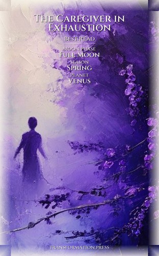 Caregiver in Exhaustion Social Withdrawal Protocol: Anchor Your Discipline preview 5