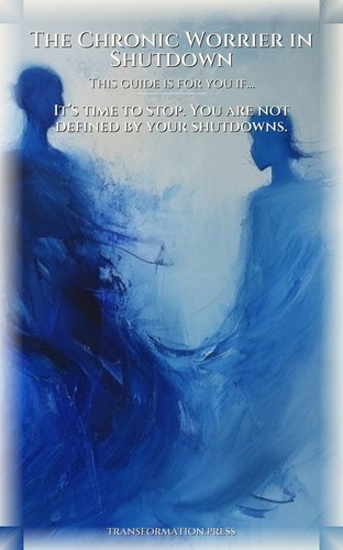 Chronic Worrier in Shutdown Authenticity Reclamation Guidebook: Build Your Soul preview 4