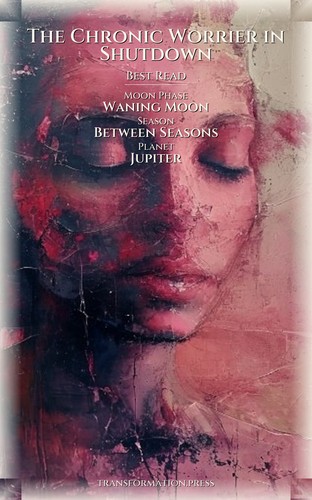 Chronic Worrier in Shutdown Authenticity Reclamation Guidebook: Build Your Soul preview 5