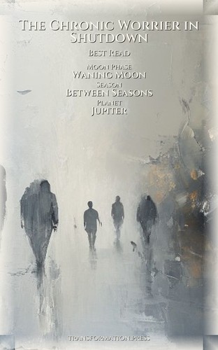 Chronic Worrier in Shutdown Betrayal Recovery Companion: Your Design Consolidated preview 5