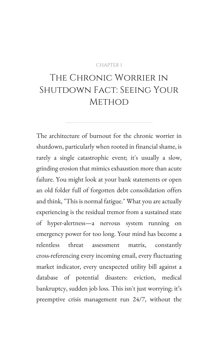Chronic Worrier in Shutdown: Financial Shame Amplification: Your Course Illuminated interior preview