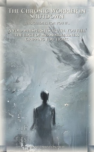 Chronic Worrier in Shutdown: Meaning Crisis Amplification: Master Your Change preview 4