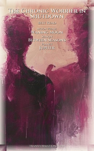 Chronic Worrier in Shutdown: Meaning Crisis Amplification: Master Your Change preview 5