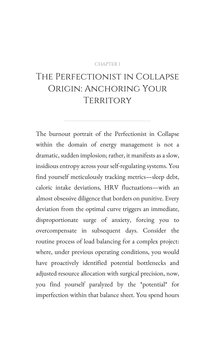 Energy Management Mastery: Perfectionist in Collapse: Align Your Identity interior preview
