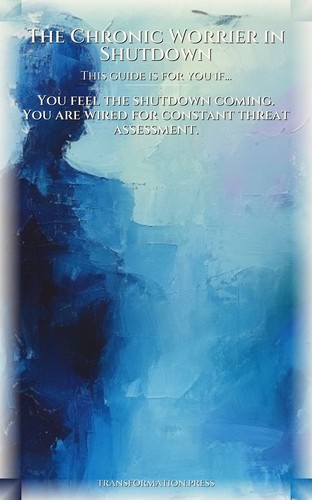 Leadership Stress Navigator: Chronic Worrier in Shutdown: Your Method Materialized preview 4