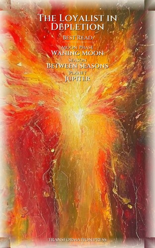 Loyalist in Depletion Chronic Stress Workbook: Your Search Illuminated preview 5
