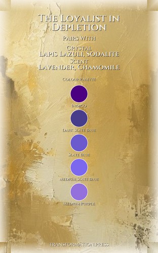 Loyalist in Depletion Identity Reconstruction Guide: Your Story Perfected preview 3