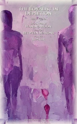 Loyalist in Depletion Leadership Stress Guidebook: Your Soul Unleashed preview 5