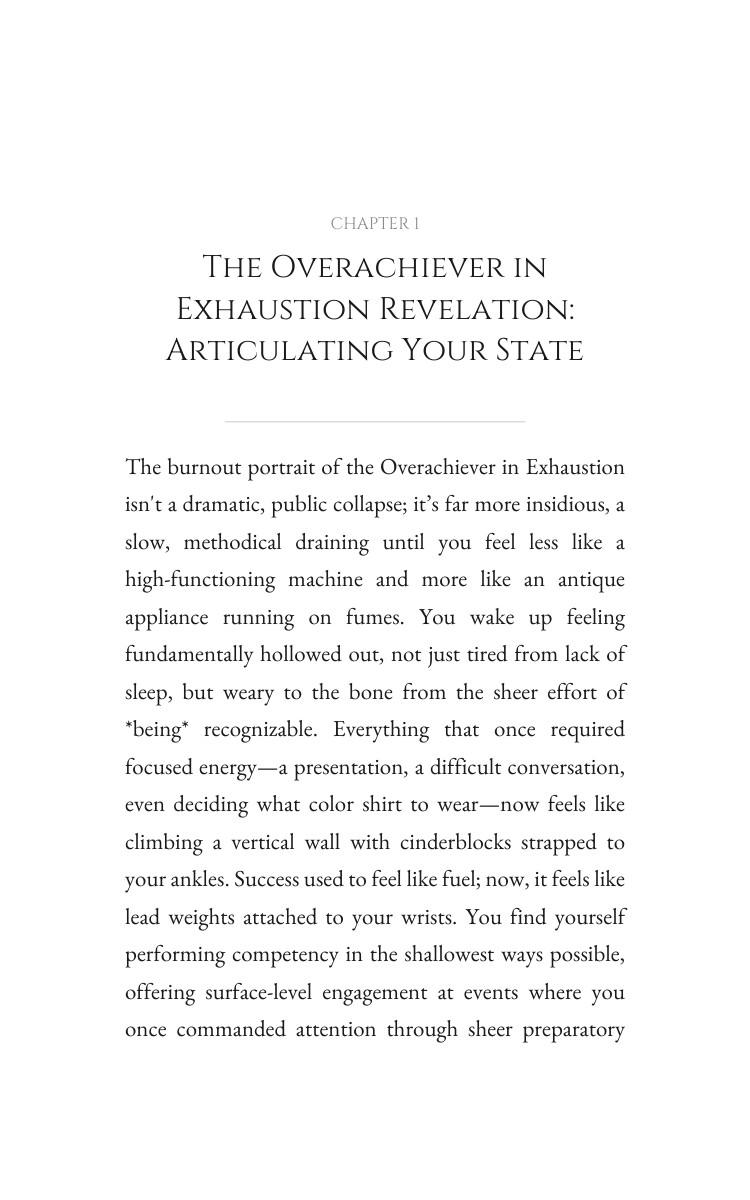 Meaning Crisis Code: Overachiever in Exhaustion: Your Story Realized interior preview