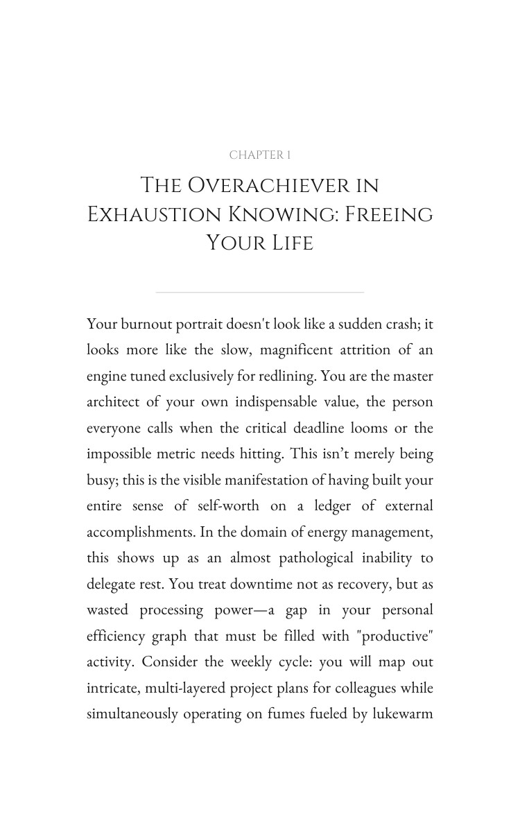 Overachiever in Exhaustion Energy Management Sourcebook: Harness Your Plan interior preview