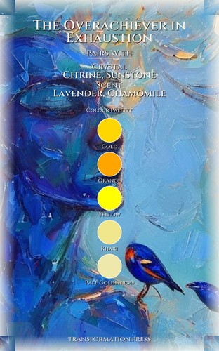 Overachiever in Exhaustion Mastery: Financial Shame: Claim Your Presence preview 3