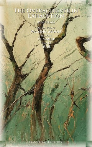 Overachiever in Exhaustion Purpose Rediscovery Integration: Your Longing Embodied preview 5