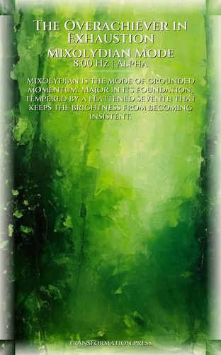 Overachiever in Exhaustion Sustainable Pace Building Breakthrough Guide: Target Your Shift preview 6