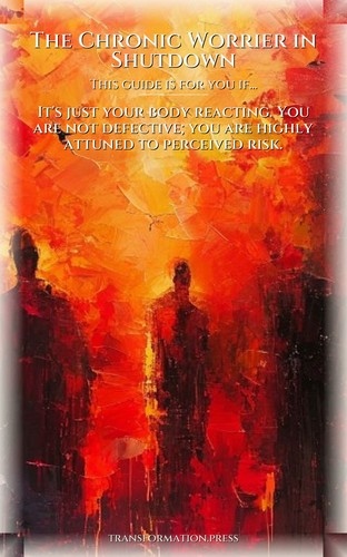 Overwhelm Management Handbook: Chronic Worrier in Shutdown: Master Your Pursuit preview 4