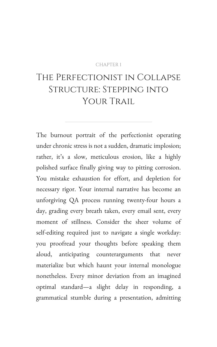 Perfectionist in Collapse Chronic Stress: Your Success Map: Your Road Advantage interior preview