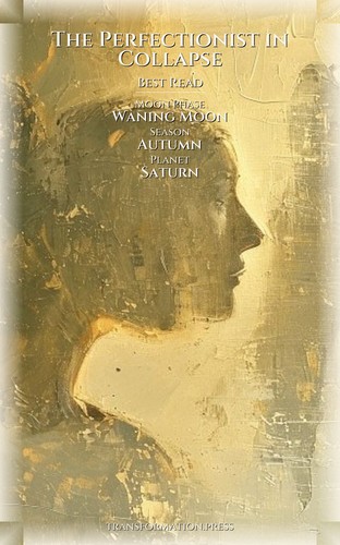 Perfectionist in Collapse Meaning Crisis Resource: Your Presence Elevated preview 5