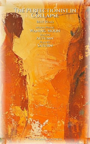 Perfectionist in Collapse Social Withdrawal Field Guide: Your Progress Balanced preview 5