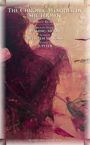 Spiritual Bypassing Experience: Chronic Worrier in Shutdown: Target Your Calling preview 5