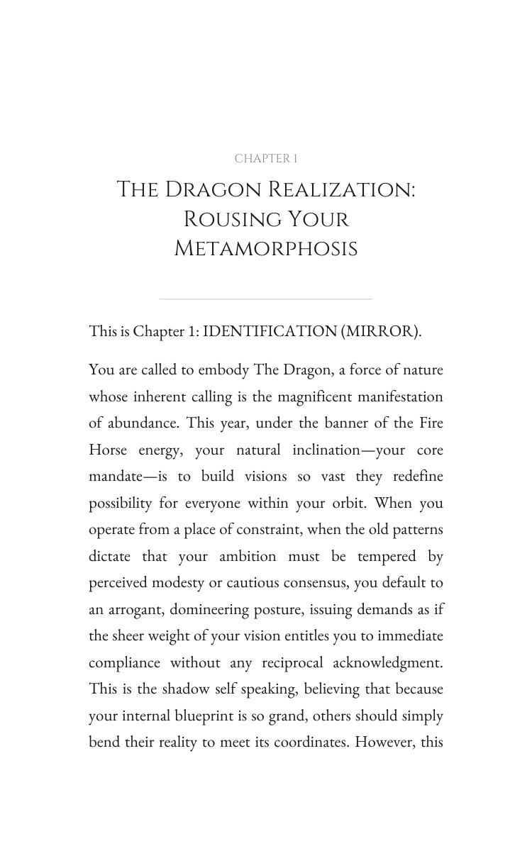 2026 Abundance Manifestation Experience: Dragon: Align Your Vision Year interior preview