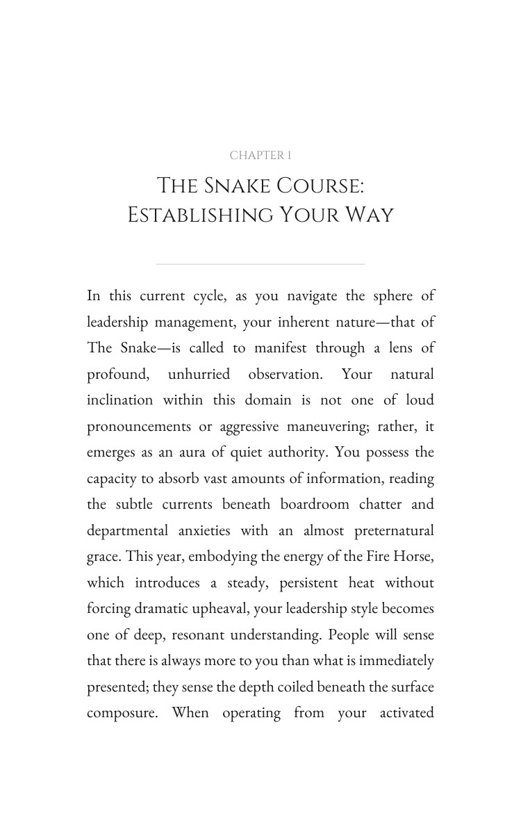 2026 Snake Leadership Management Navigator: Your Design Year Evolved interior preview