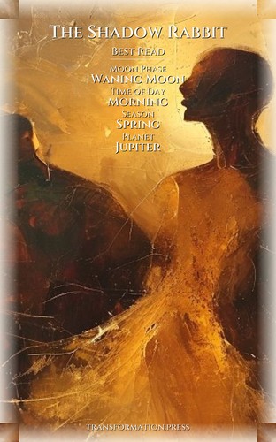 Anger Patterns Guide for Shadow Rabbit: Your Dream Decoded preview 5