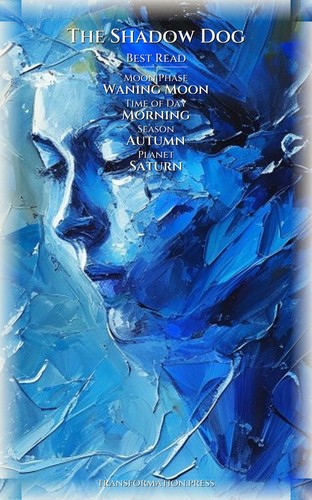Shadow Dog Anger Patterns Encyclopedia: Your Essence Transcended preview 5