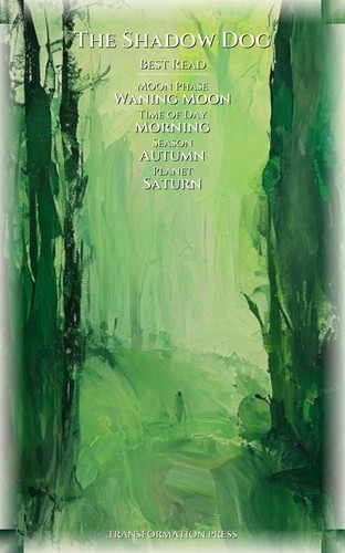 Shadow Dog Shadow Wounds Companion Guide: Calibrate Your Transformation preview 5