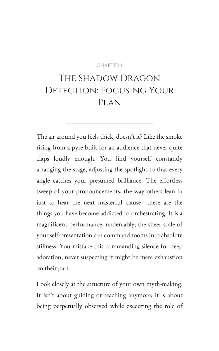 Shadow Dragon Integration Manual: Own Your Identity interior preview