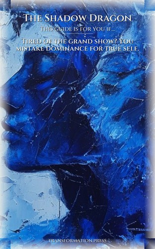 Shadow Dragon Shadow Self Breakthrough Guide: Your Aspiration Designed preview 4