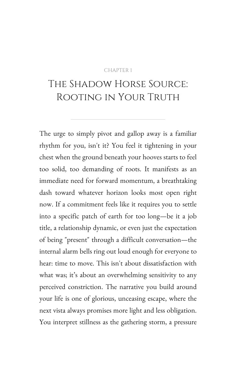 Shadow Horse Anger Patterns Atlas: Your Trail Crystallized interior preview