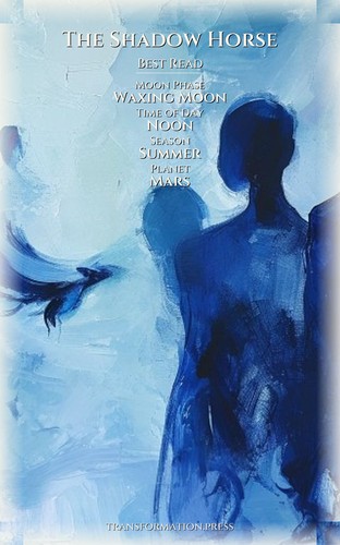 Shadow Horse Shadow Self: Complete Edition: Target Your Reality preview 5